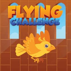Flying Challenge: angry birth