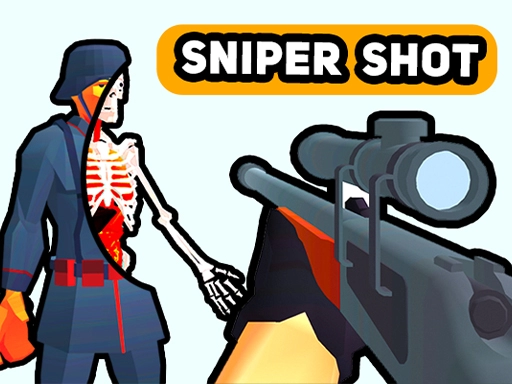 Sniper Action